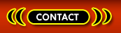 Anything Goes Phone Sex Contact New Orleans